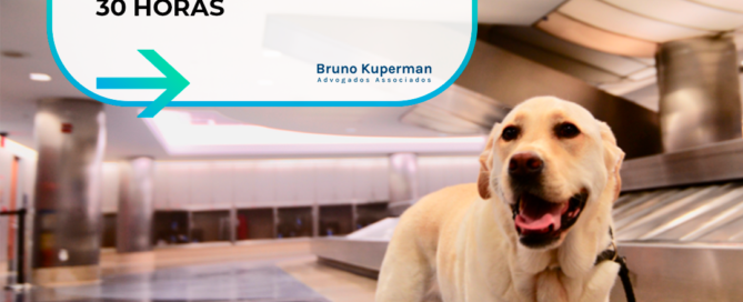 Cia-aérea-é-condenada-por-deixar-animais-sem-alimentação-por